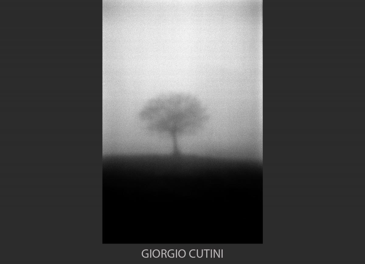 Giorgio Cutini 